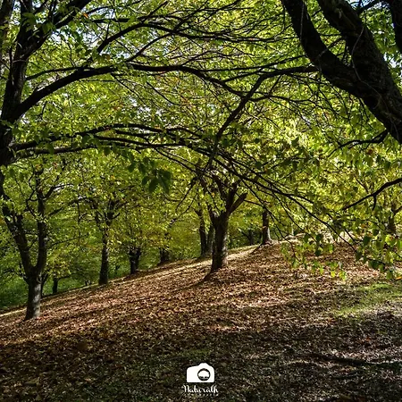 Tottam Art & Healthy Garden بيت خشبي *