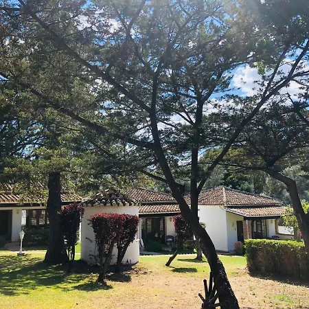 Lodge Tottam Art & Healthy Garden Malaga