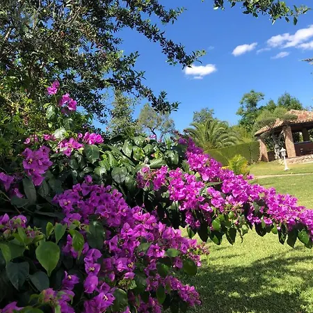 Lodge Tottam Art & Healthy Garden *