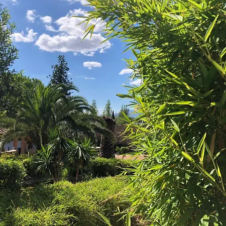 Tottam Art & Healthy Garden