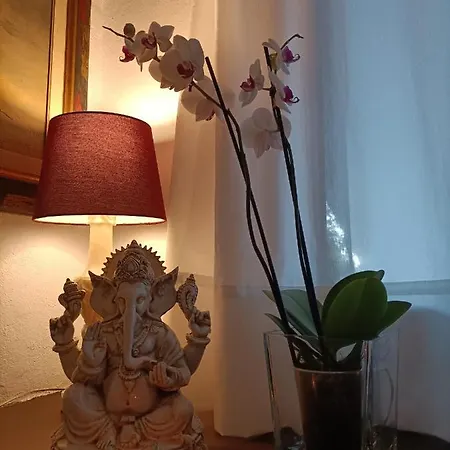 Tottam Art & Healthy Garden Malaga