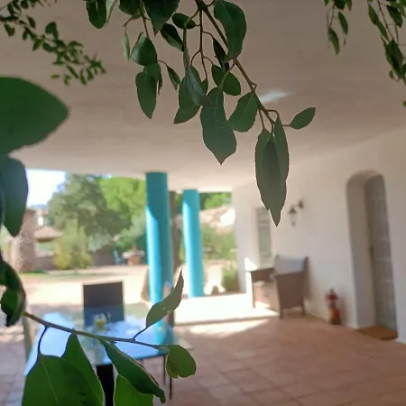 Tottam Art & Healthy Garden Lodge Malaga