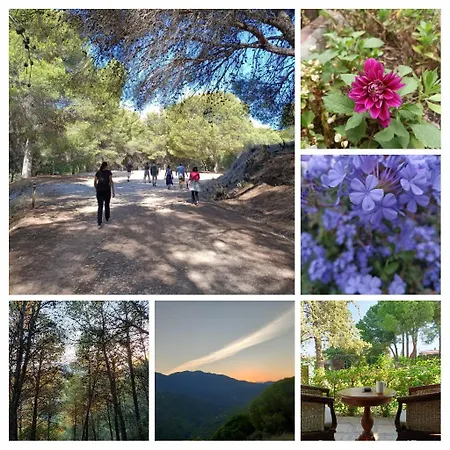 Tottam Art & Healthy Garden * Malaga