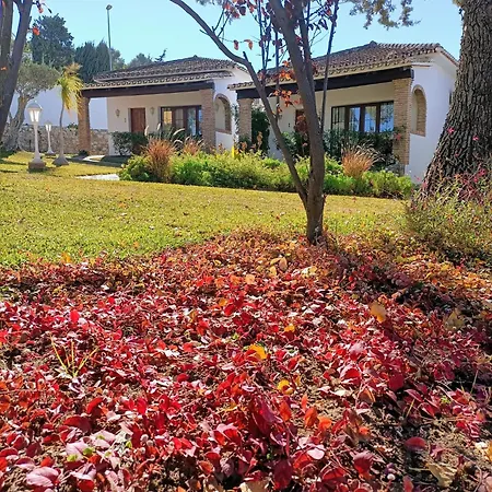 Tottam Art & Healthy Garden