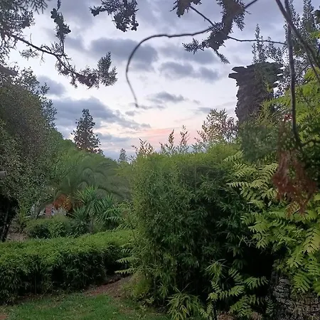 Tottam Art & Healthy Garden * 马拉加