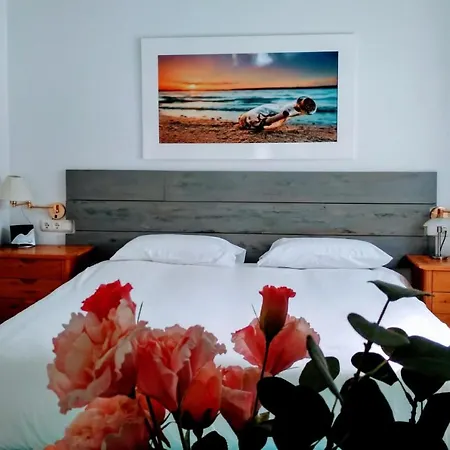 Alojamento de Turismo Selvagem Tottam Art & Healthy Garden