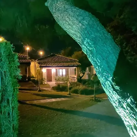 Alojamento de Turismo Selvagem Tottam Art & Healthy Garden *