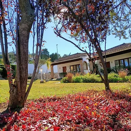 Tottam Art & Healthy Garden Lodge Málaga